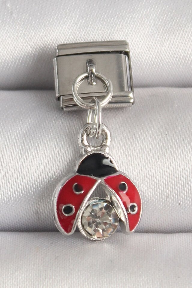 316L Çelik Gümüş Renk Zirkon Taşlı Uğur Böceği Model Nomination Charm