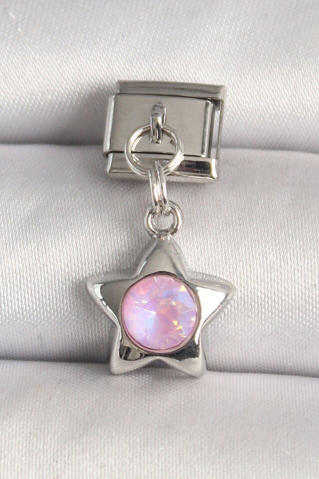 316L Çelik Gümüş Renk Pembe Zirkon Taşlı Yıldız Model Nomination Charm